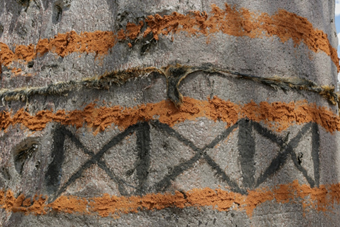A decorated baobab tree tied with a sheep skin after the ritual that took place on 18th to 20th May 2022 to relocate the sacred site in Napilikunya Off the right of way.